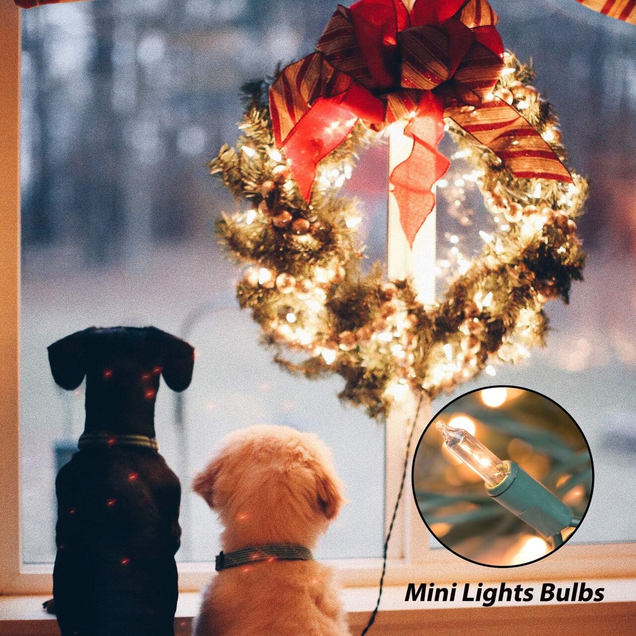 100-Count 25ft Clear Mini Christmas String Lights – Warm White Incandescent Bulbs on Green Wire, Indoor & Outdoor Holiday, Birthday, Wedding, and Party Decoration (Clear Warm White)
